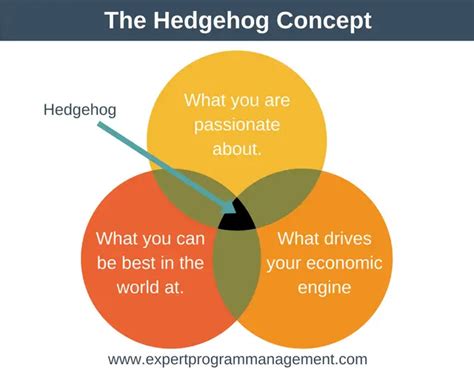  “The Hedgehog Effect”  穿刺的領導力哲學與自我覺察之旅