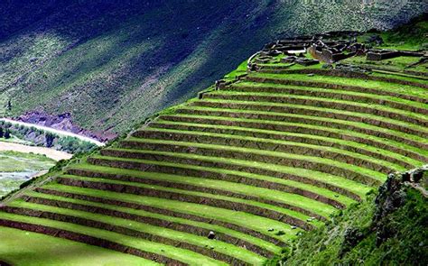  “The Terraced Earth”：A Window into Ancient Mexican Agricultural Practices